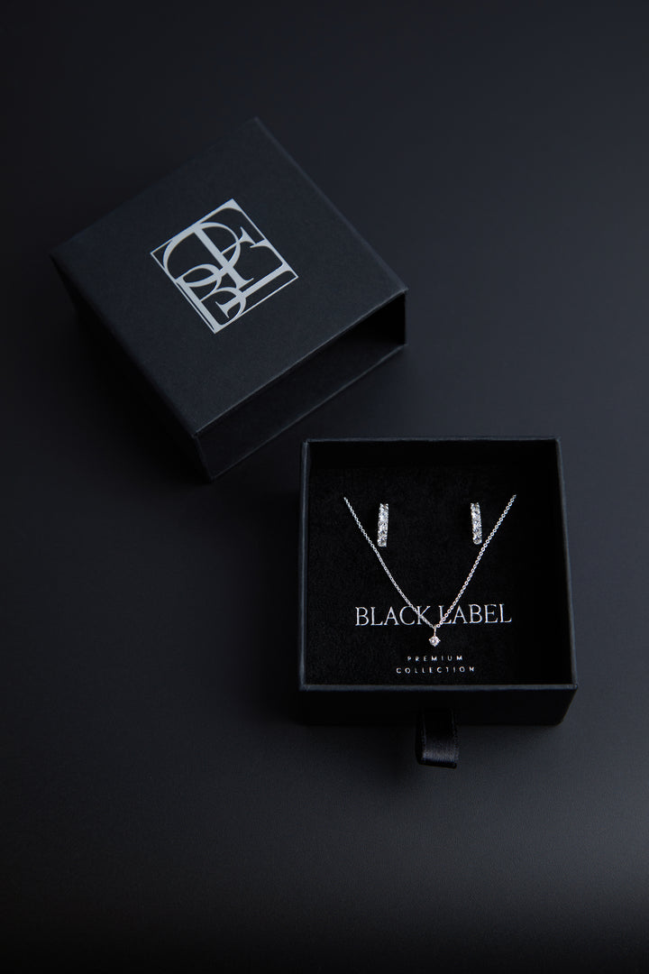 925 SILVER - 16K GOLD EARRING AND NECKLACE GIFT SET in Silver — alternate angle