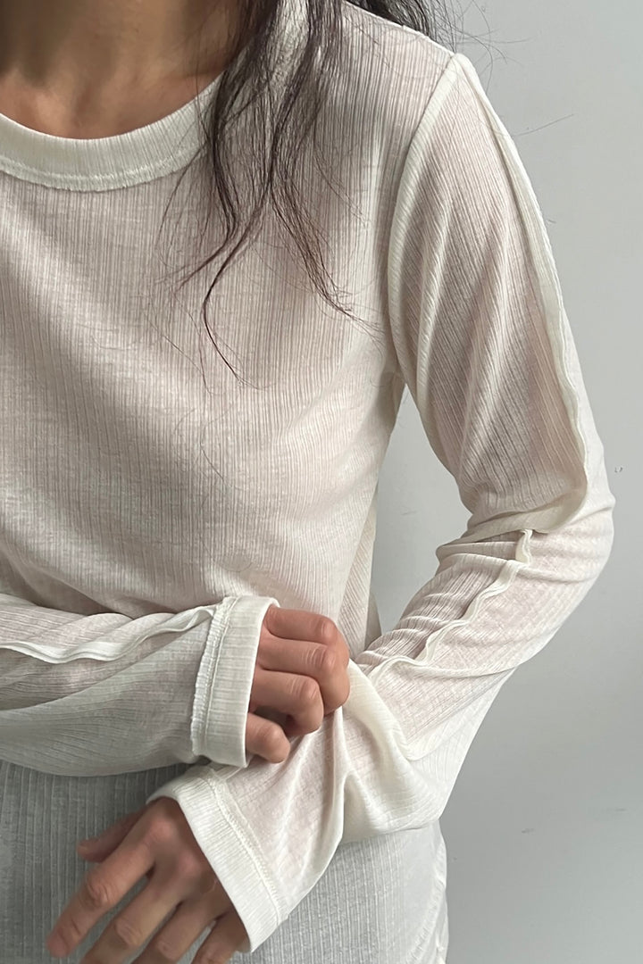 SHEER CREWNECK LONG SLEEVE TOP